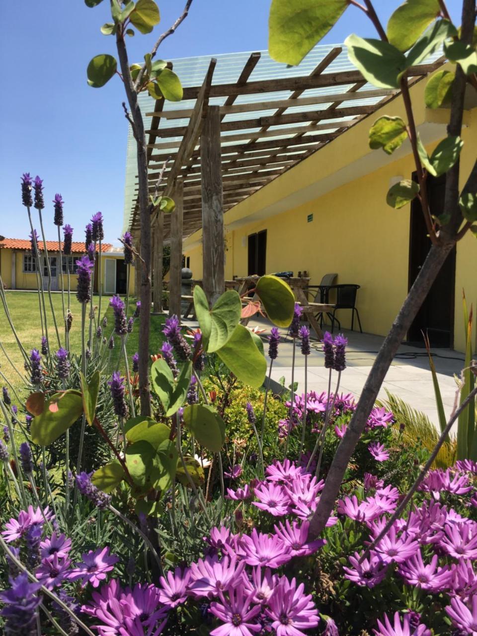 Hotel Quinta San Antonio Nopalucan de la Granja Dış mekan fotoğraf