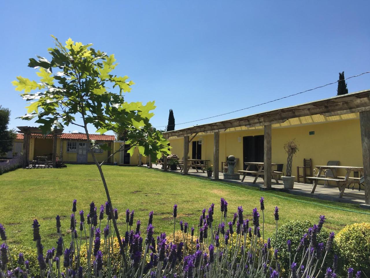 Hotel Quinta San Antonio Nopalucan de la Granja Dış mekan fotoğraf