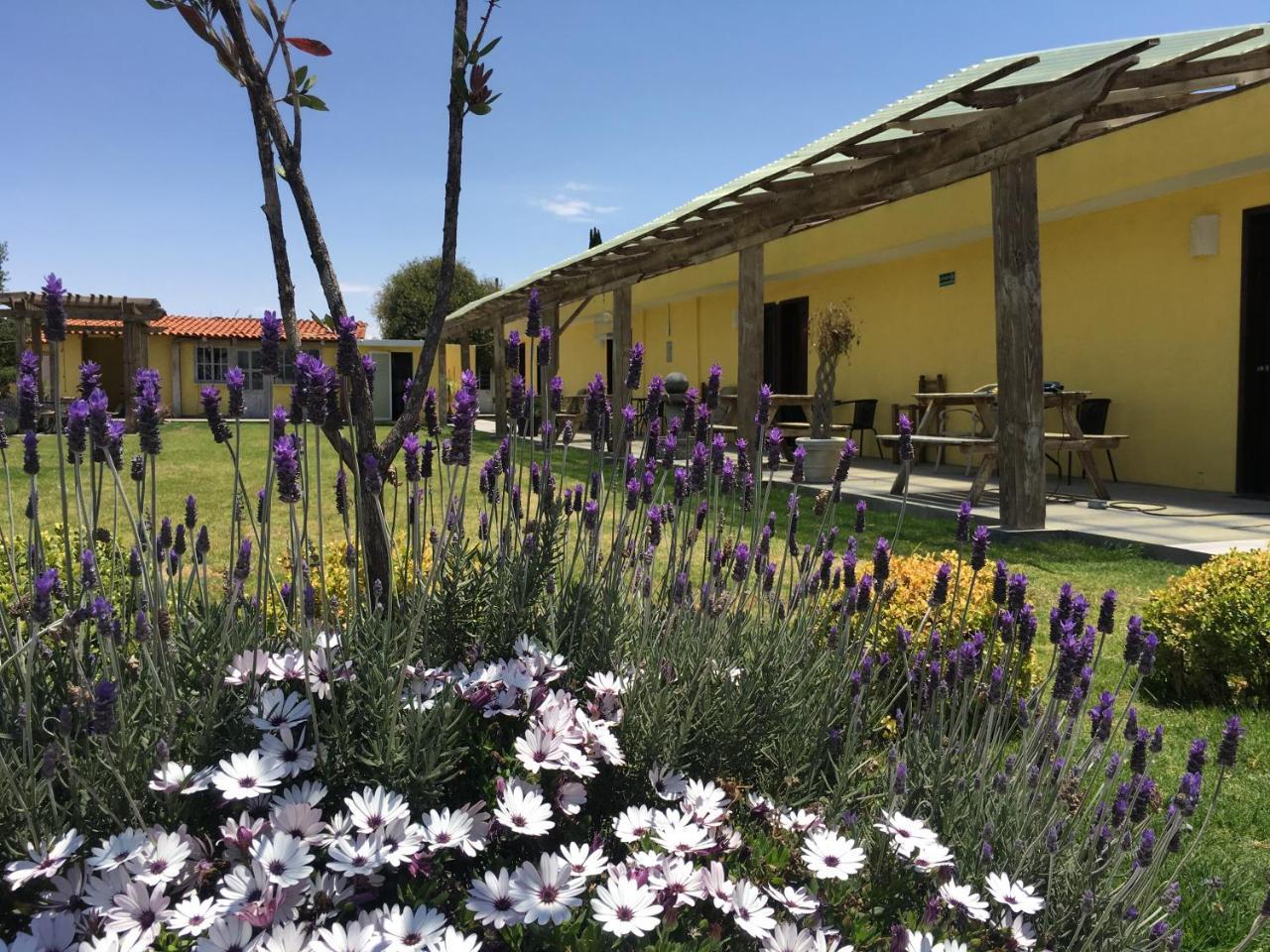 Hotel Quinta San Antonio Nopalucan de la Granja Dış mekan fotoğraf